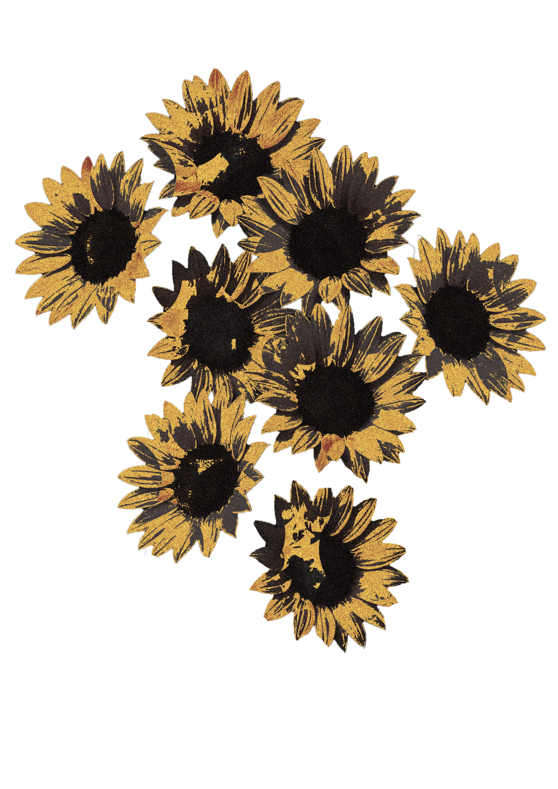 Tournesol